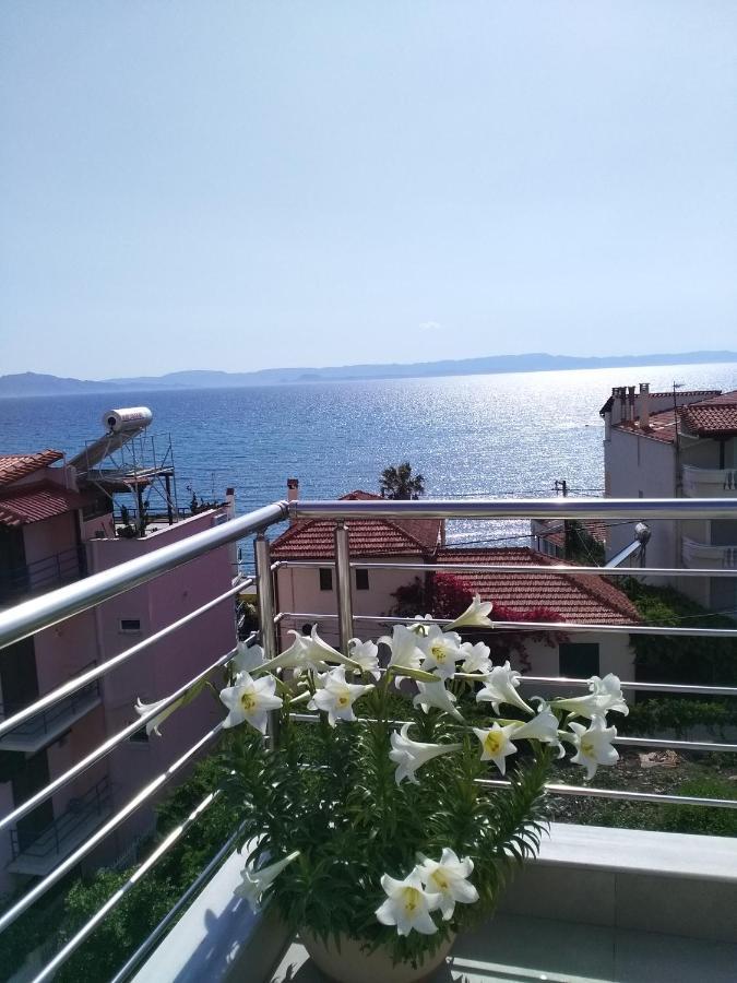 Alkioni'S Nest Apartments Arkoudi Esterno foto